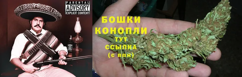 Конопля план  Дрезна 